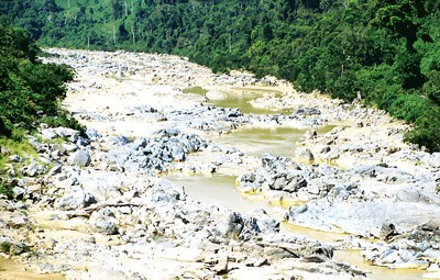 The depleted Vu Gia River (Photo: SGGP) The depleted Vu Gia River (Photo: SGGP)